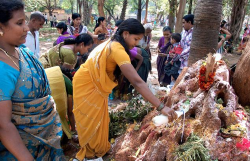 The Importance of nagula chavithi. Nagula Chavithi Festival dedicated to nagas snakes in india, Festival Of nagula chavithi, Nagula Chavithi Pooja